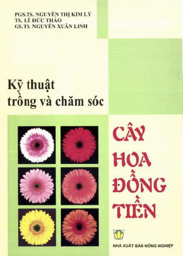 Kỹ Thuật Trồng Và Chăm Sóc Cây Hoa Đồng Tiền