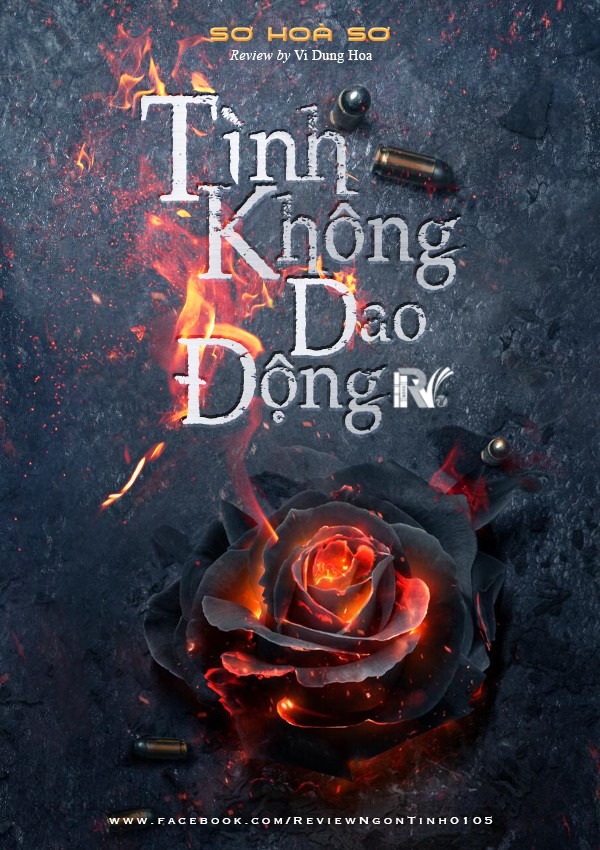 Tình Không Dao Động PDF EPUB