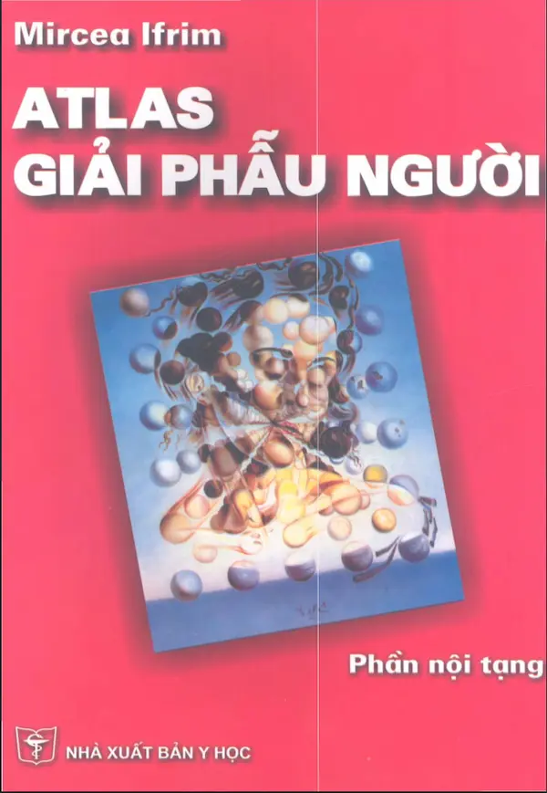 Atlas giải phẫu người – Phần nội tạng