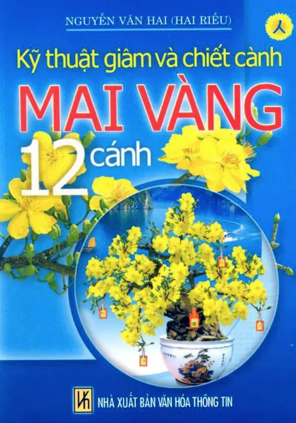 Kỹ Thuật Giâm Cành Và Chiết Cành Mai Vàng 12 Cánh