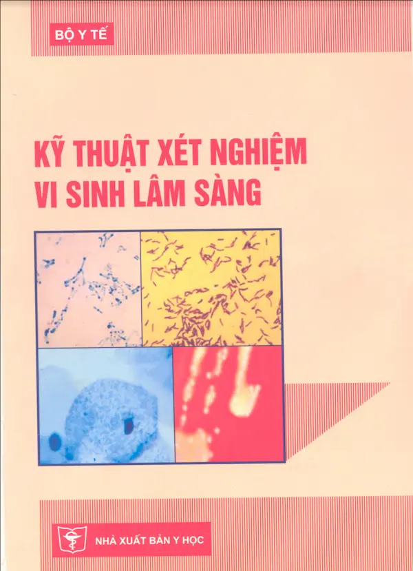 Kỹ Thuật Xét Nghiệm Vi Sinh Lâm Sàng