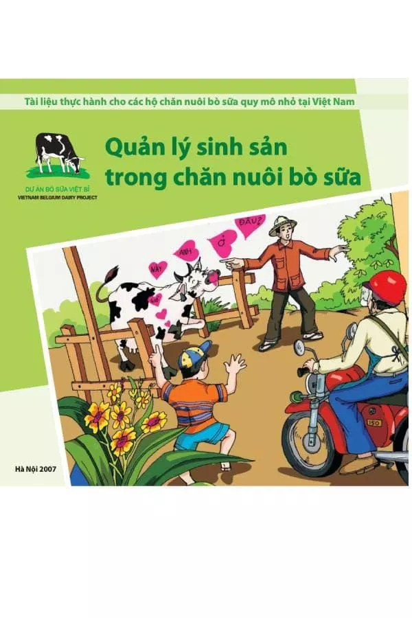 Quản lý sinh sản trong chăn nuôi bò sữa