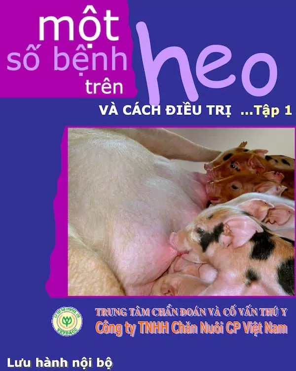 Bệnh trên heo và cách chữa trị