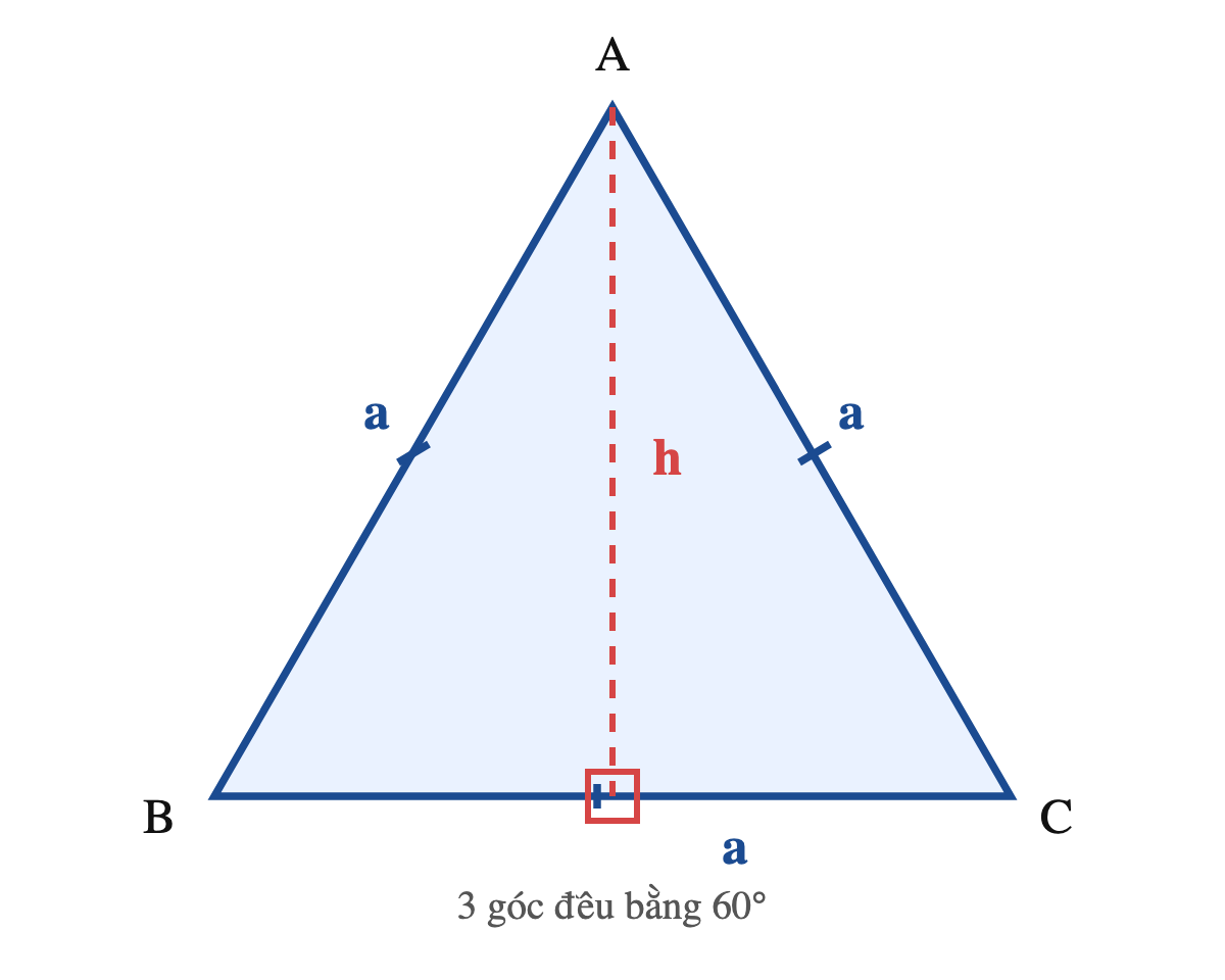 Tam giác đều ABC với ba cạnh a bằng nhau, ba góc bằng 60 độ và chiều cao h hạ từ đỉnh xuống trung điểm cạnh đáy