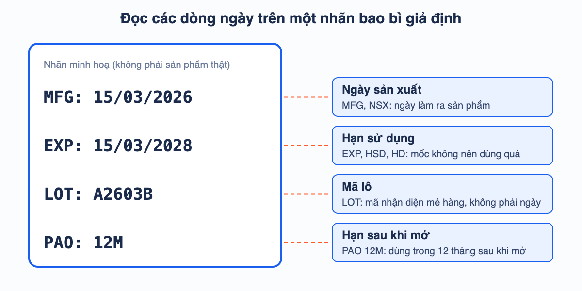 Sơ đồ nhãn bao bì giả định có bốn dòng MFG 15/03/2026, EXP 15/03/2028, LOT A2603B và PAO 12M, mỗi dòng nối với phần giải thích ý nghĩa