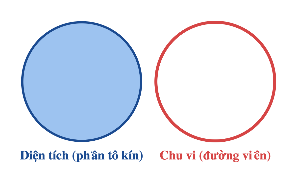 Hai hình tròn giống nhau đặt cạnh nhau minh họa khác biệt giữa diện tích và chu vi: hình bên trái tô kín toàn bộ phần bên trong để minh họa diện tích, hình bên phải chỉ tô đậm đường viền để minh họa chu vi