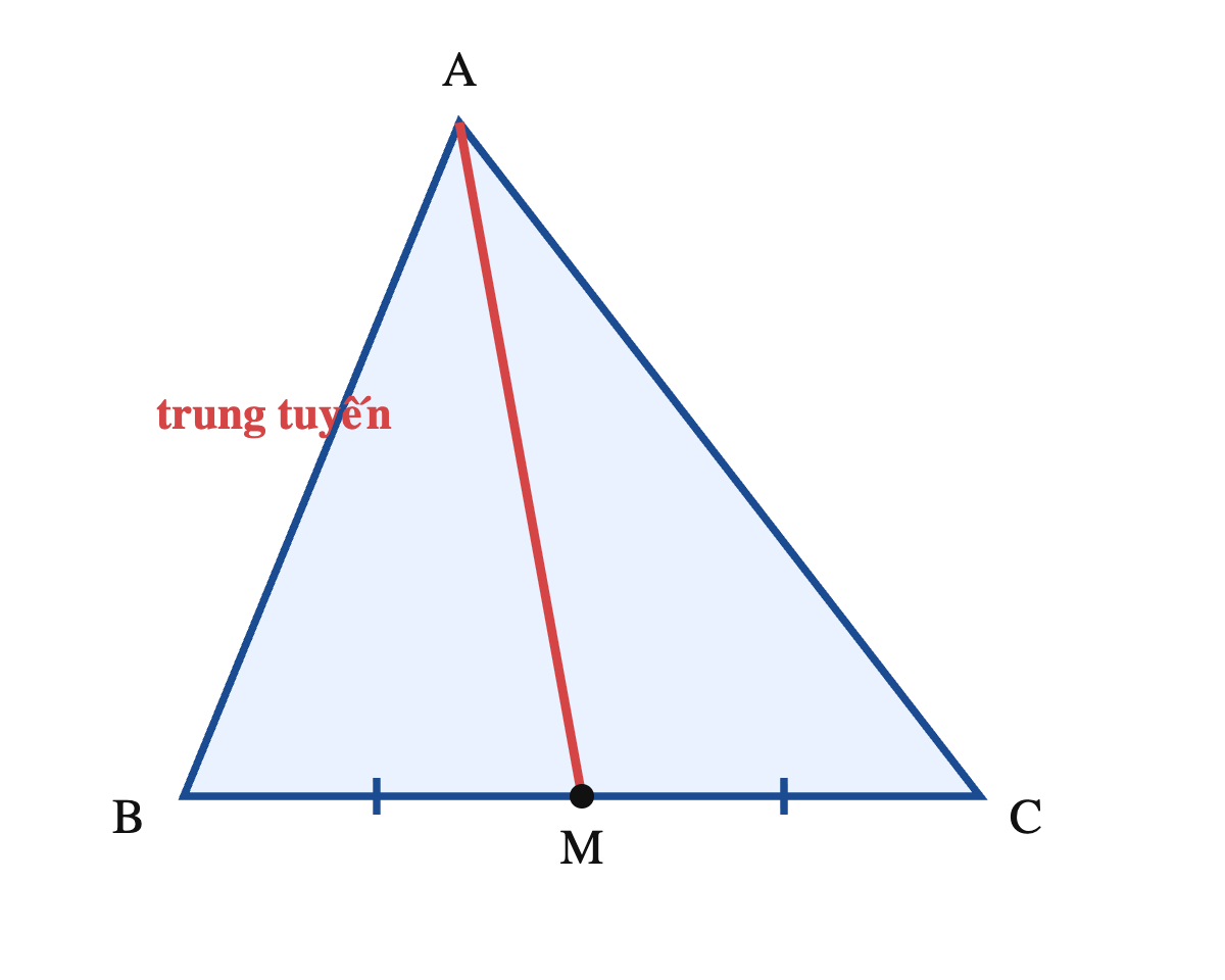 Tam giác ABC với M là trung điểm cạnh BC, đoạn thẳng AM là đường trung tuyến kẻ từ đỉnh A