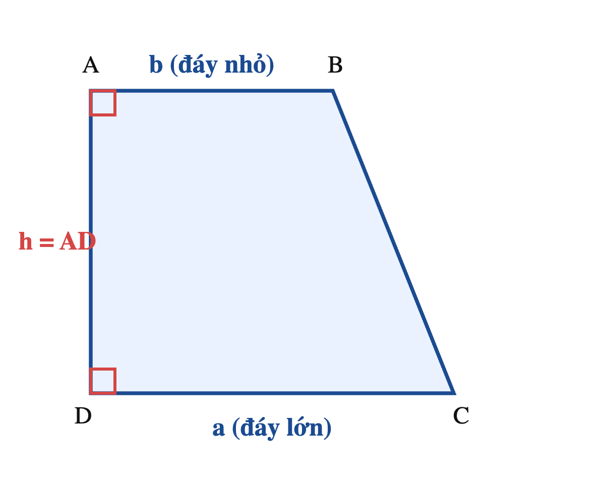 Hình thang vuông ABCD vuông tại A và D, cạnh bên AD vuông góc với hai đáy AB và DC nên chính là chiều cao h