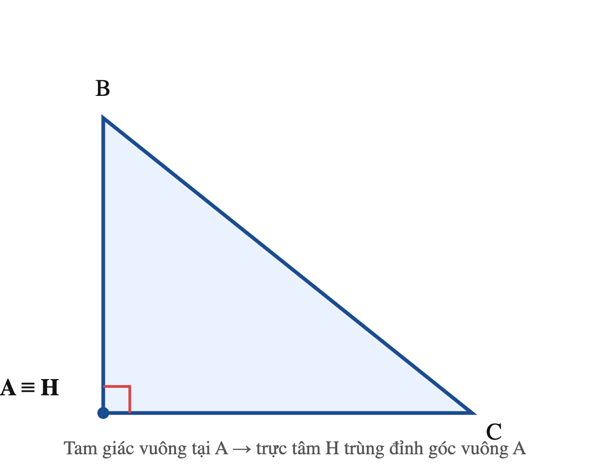 Tam giác vuông ABC vuông tại A, trực tâm H trùng với đỉnh góc vuông A vì hai cạnh góc vuông chính là hai đường cao