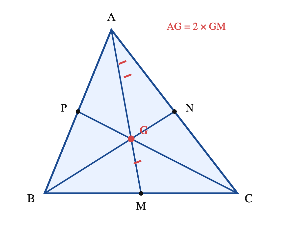 Ba đường trung tuyến AM, BN, CP của tam giác ABC đồng quy tại trọng tâm G, đoạn AG dài gấp đôi đoạn GM